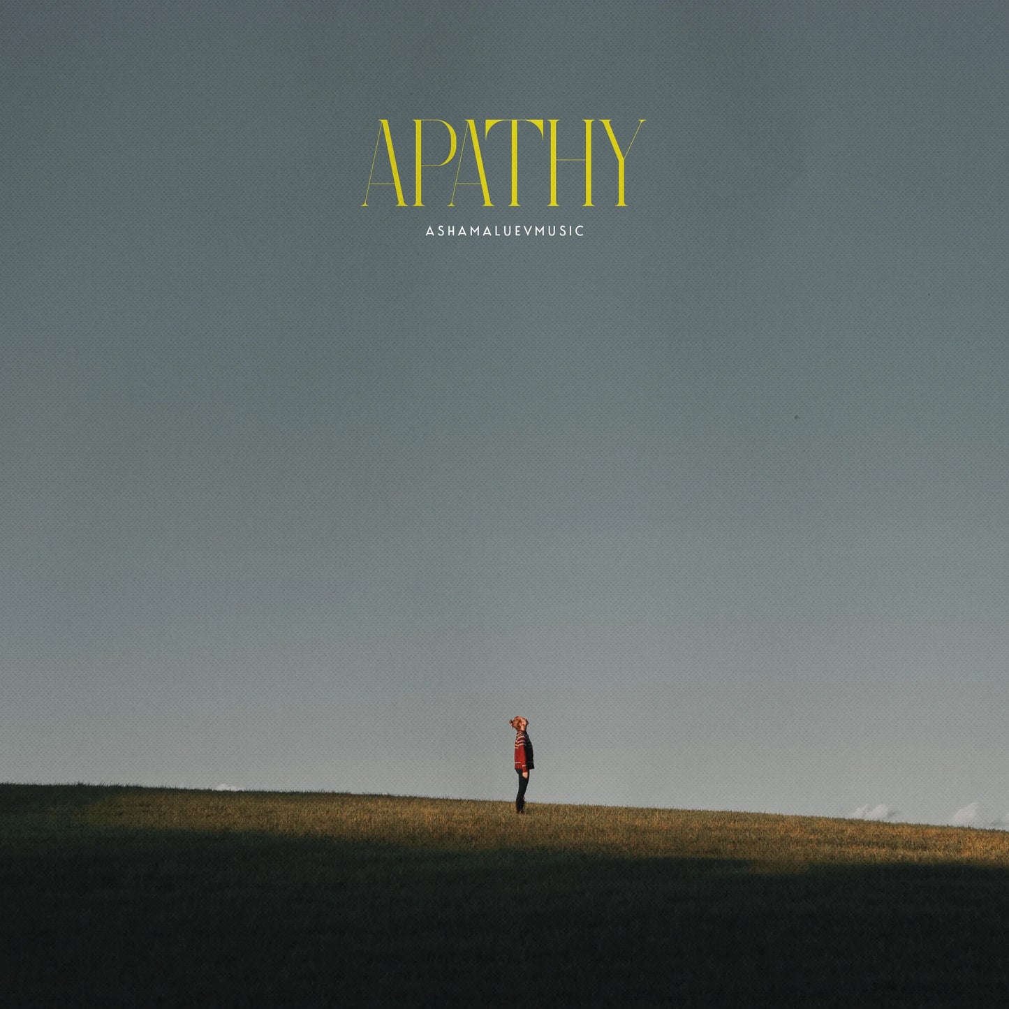 Cover track 'Apathy' by AShamaluevMusic. This background music is available for licensing and can be used in various creative projects.