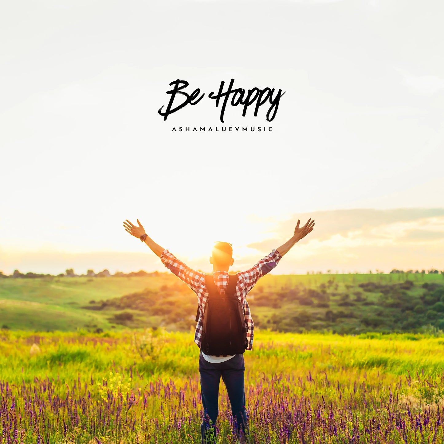 Cover track 'Be Happy' by AShamaluevMusic. This background music is available for licensing and can be used in various creative projects.