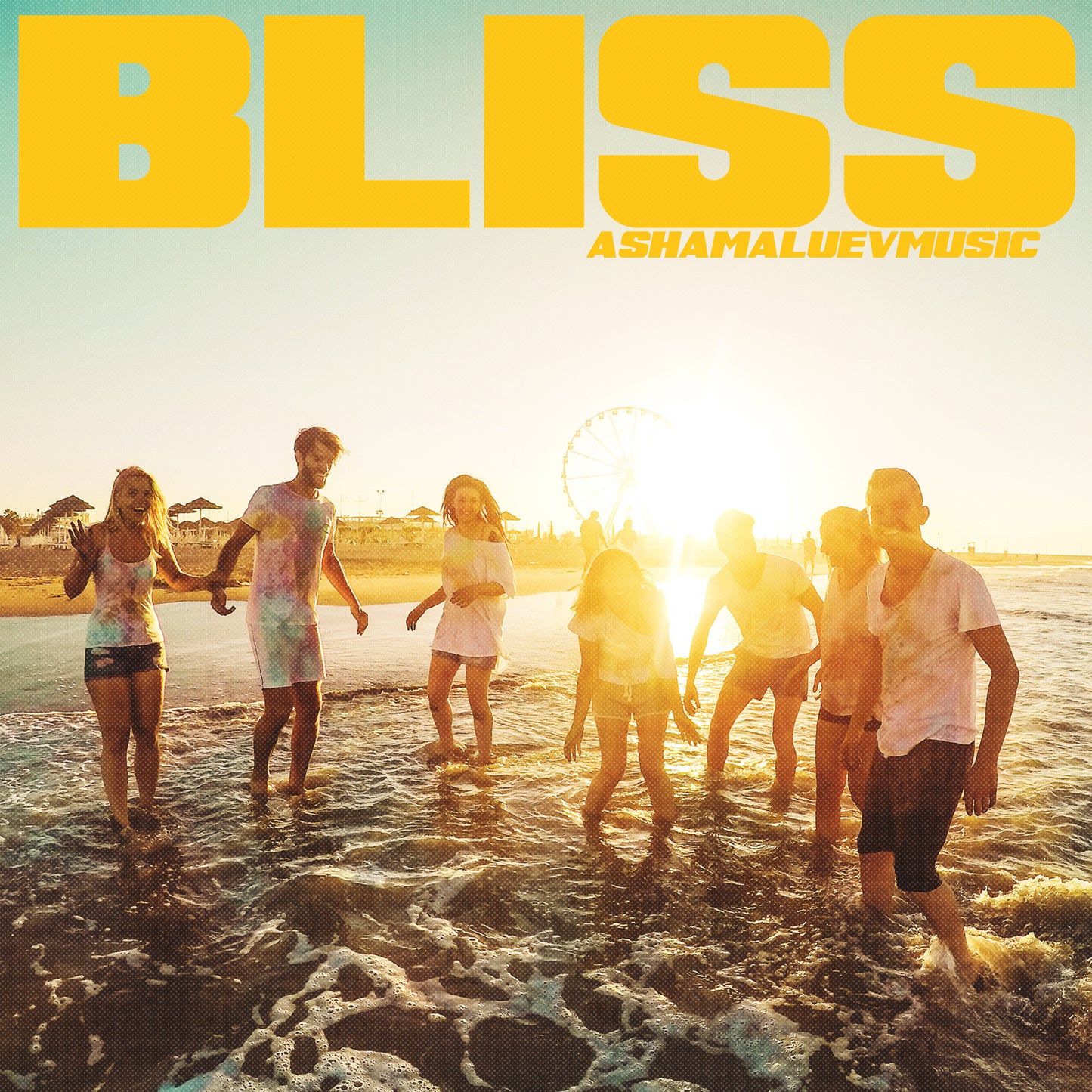 Cover art of the music track 'Bliss' by AShamaluevMusic, which shows the featuring people at the beach.