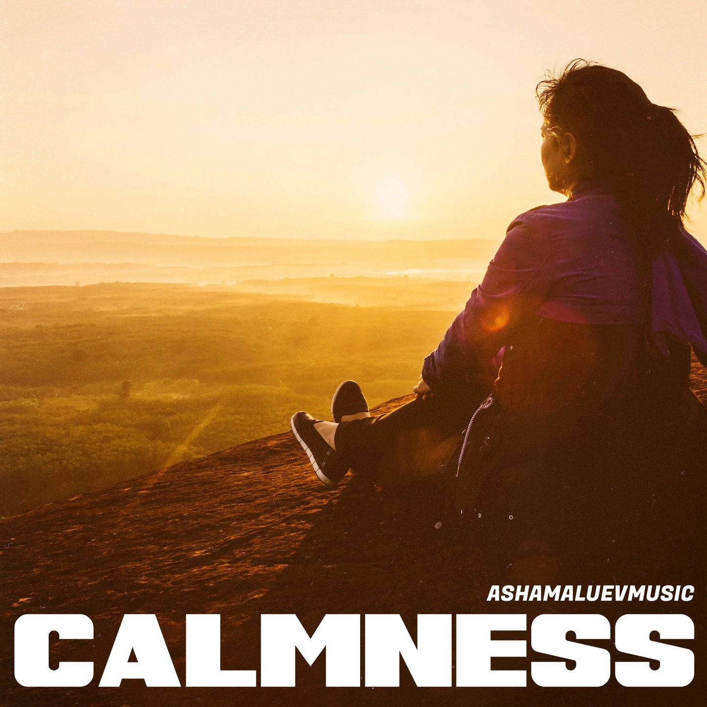 Cover track 'Calmness' by AShamaluevMusic. This background music is available for licensing and can be used in various creative projects.