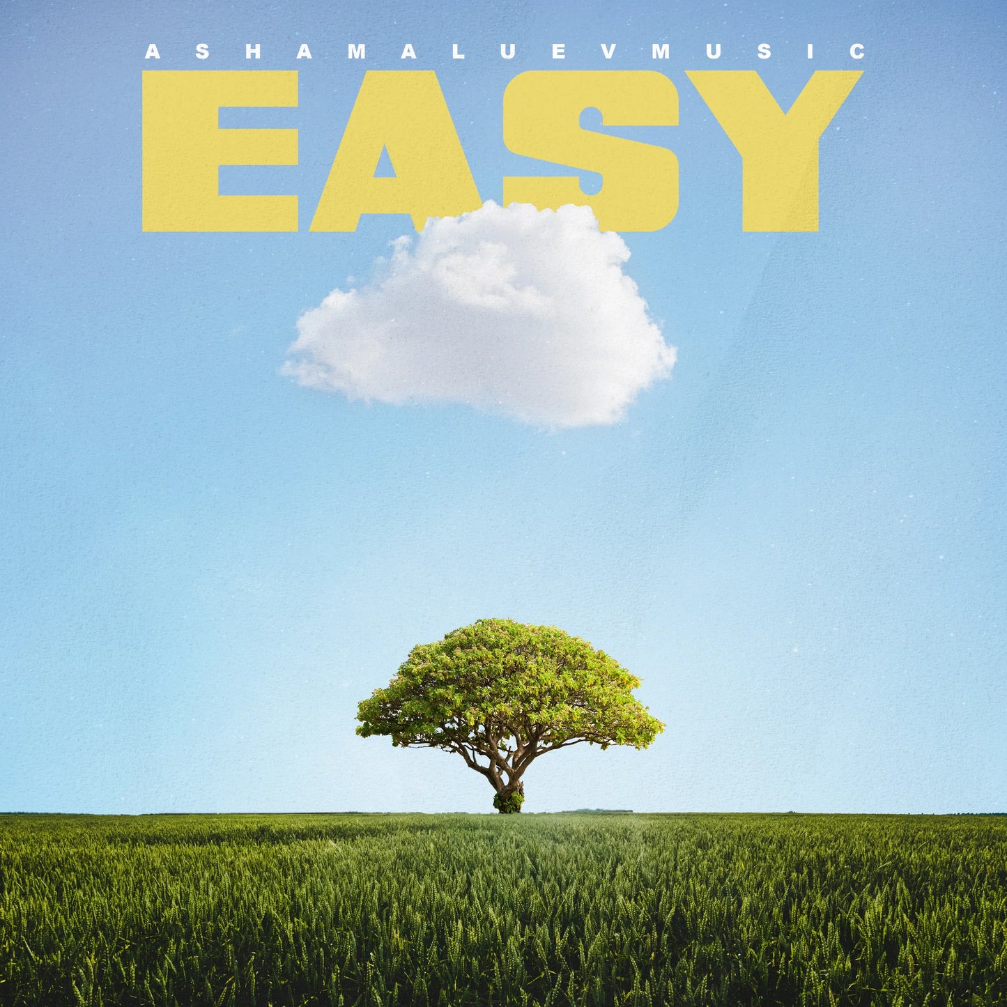 Cover track 'Easy' by AShamaluevMusic. This background music is available for licensing and can be used in various creative projects.