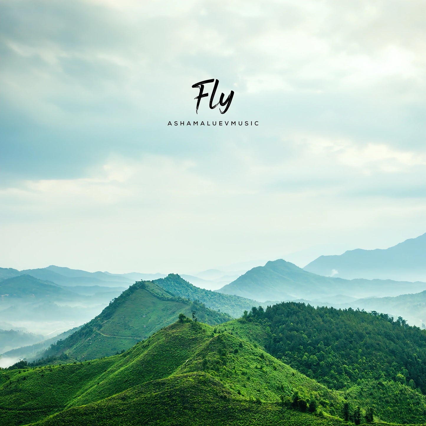 Cover track 'Fly' by AShamaluevMusic. This background music is available for licensing and can be used in various creative projects.