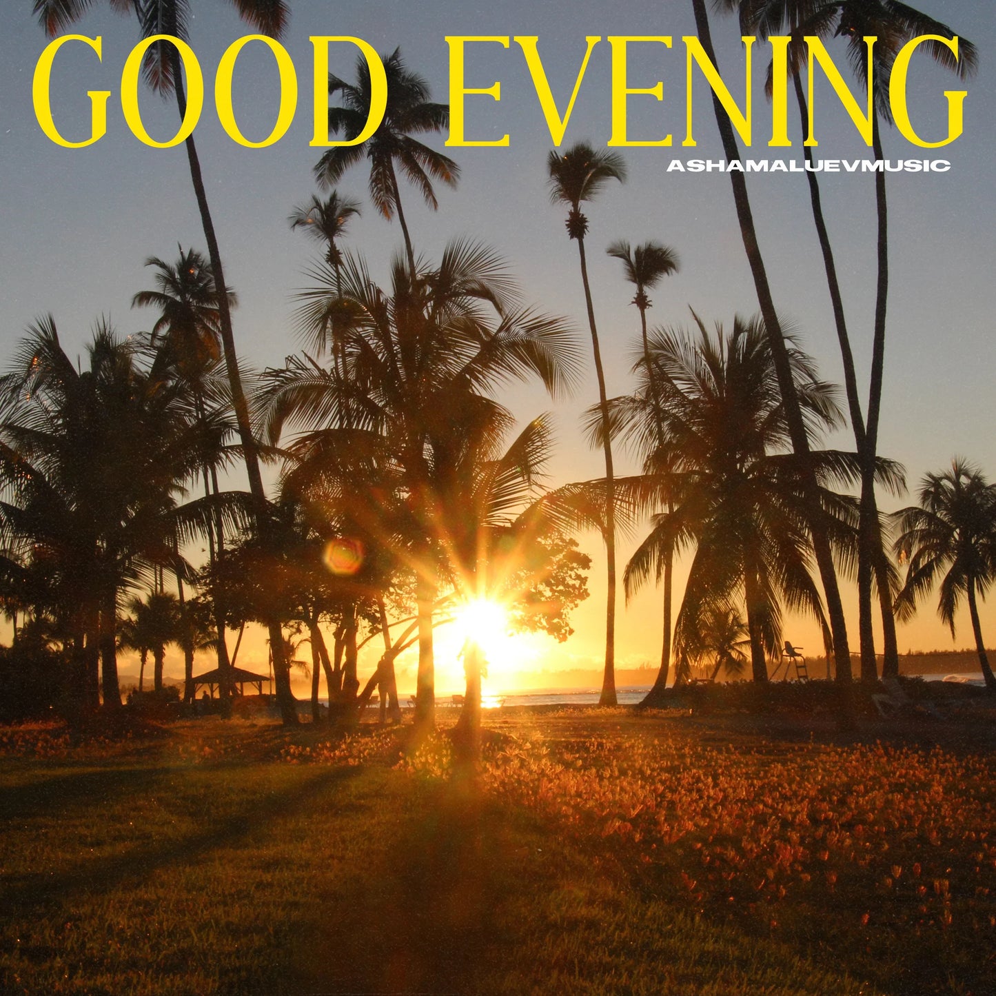 Cover track 'Good Evening' by AShamaluevMusic. This background music is available for licensing and can be used in various creative projects.