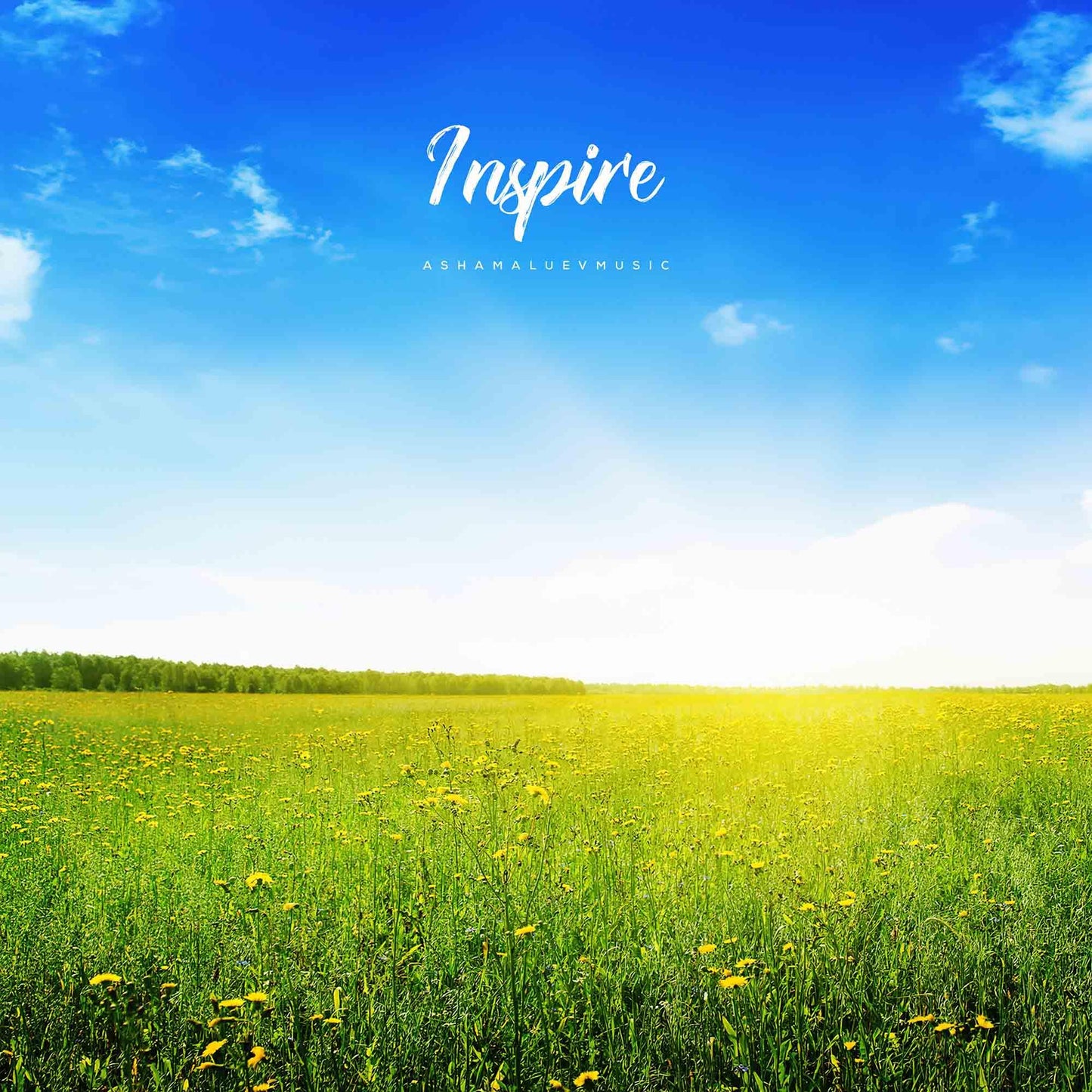 Cover track 'Inspire' by AShamaluevMusic. This background music is available for licensing and can be used in various creative projects.