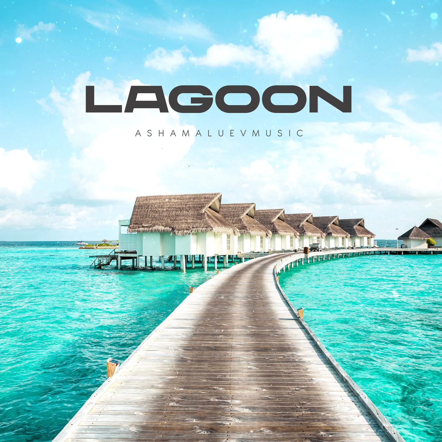 Cover track 'Lagoon' by AShamaluevMusic. This background music is available for licensing and can be used in various creative projects.