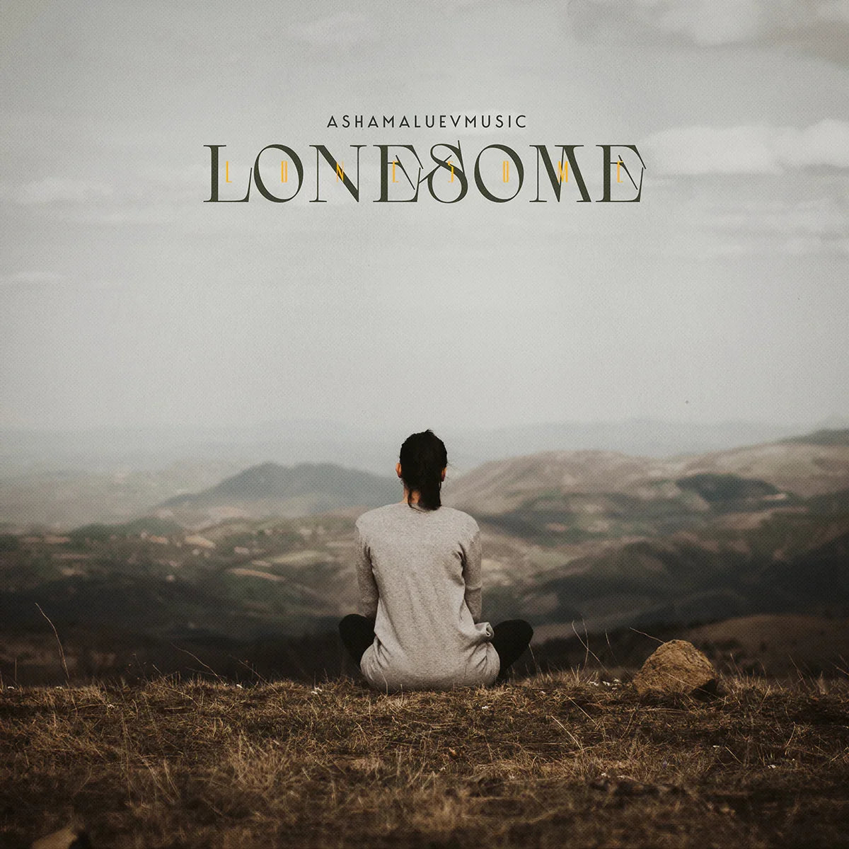 Cover track 'Lonesome' by AShamaluevMusic. This background music is available for licensing and can be used in various creative projects.