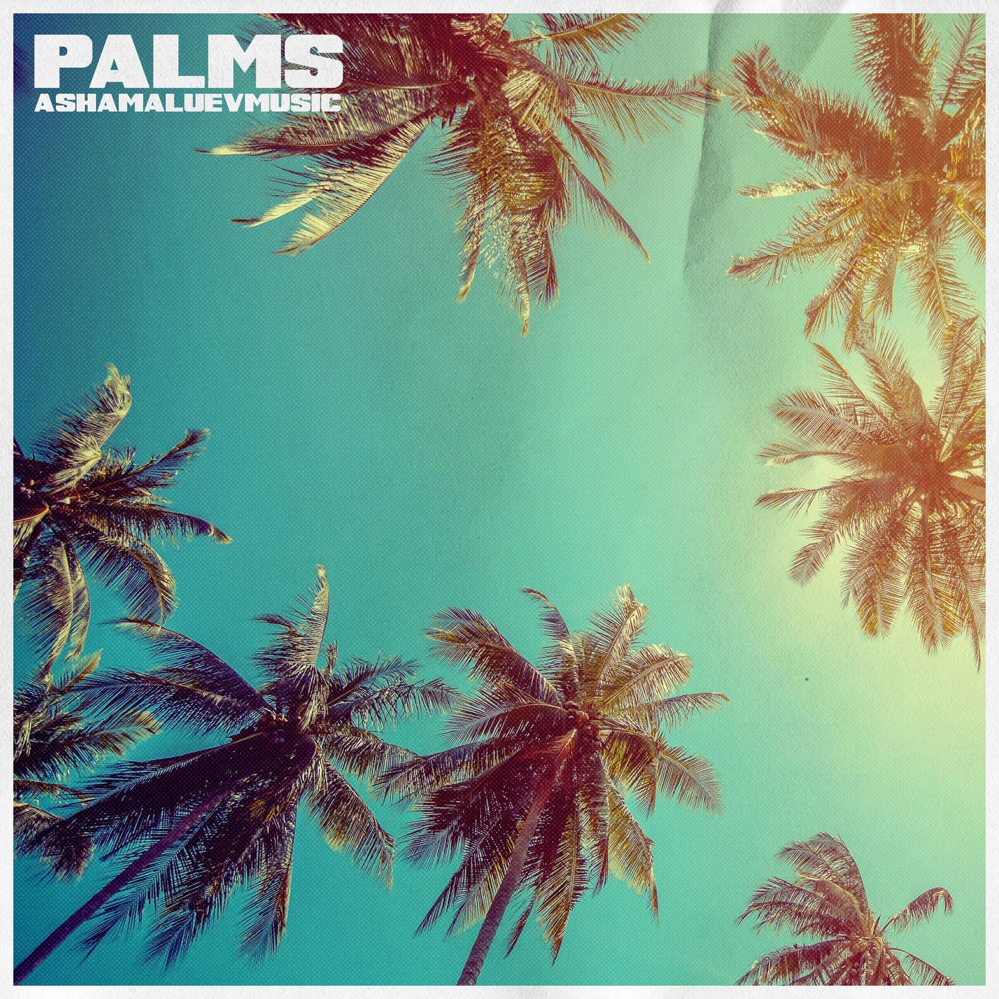 Cover track 'Palms' by AShamaluevMusic. This background music is available for licensing and can be used in various creative projects.