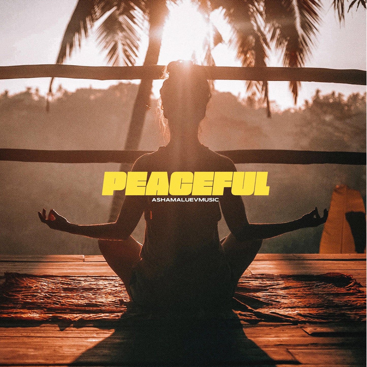Cover track 'Peaceful' by AShamaluevMusic. This background music is available for licensing and can be used in various creative projects.
