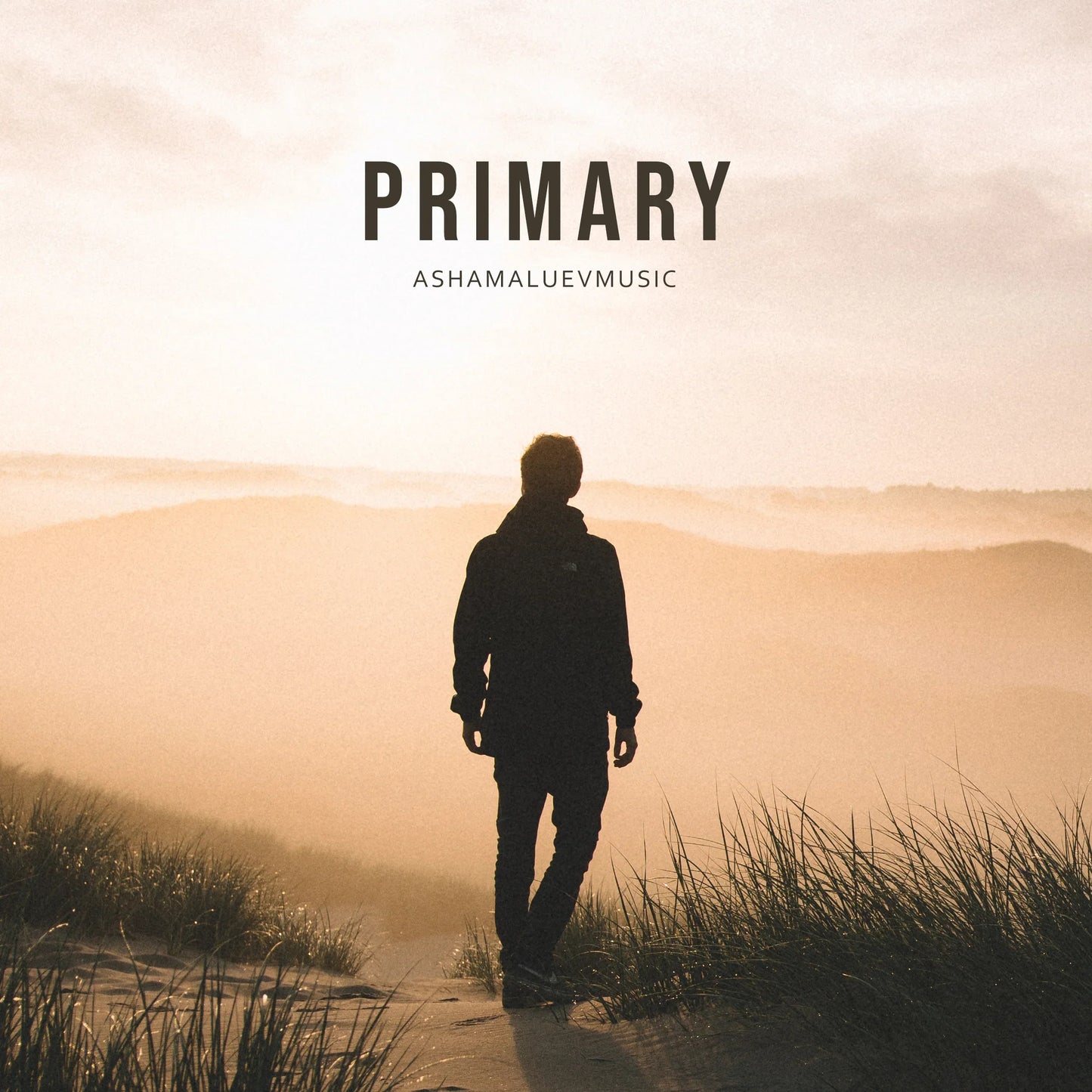 Cover track 'Primary' by AShamaluevMusic. This background music is available for licensing and can be used in various creative projects.
