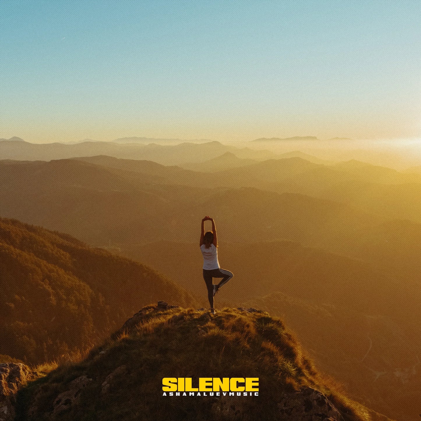 Cover track 'Silence' by AShamaluevMusic. This background music is available for licensing and can be used in various creative projects.