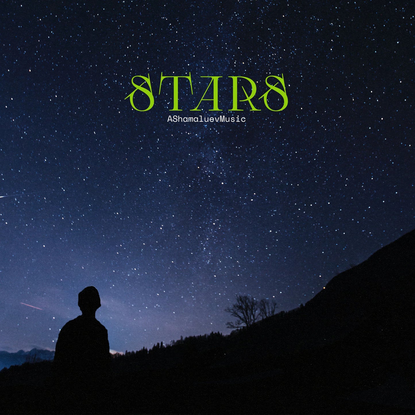Cover track 'Stars' by AShamaluevMusic. This background music is available for licensing and can be used in various creative projects.