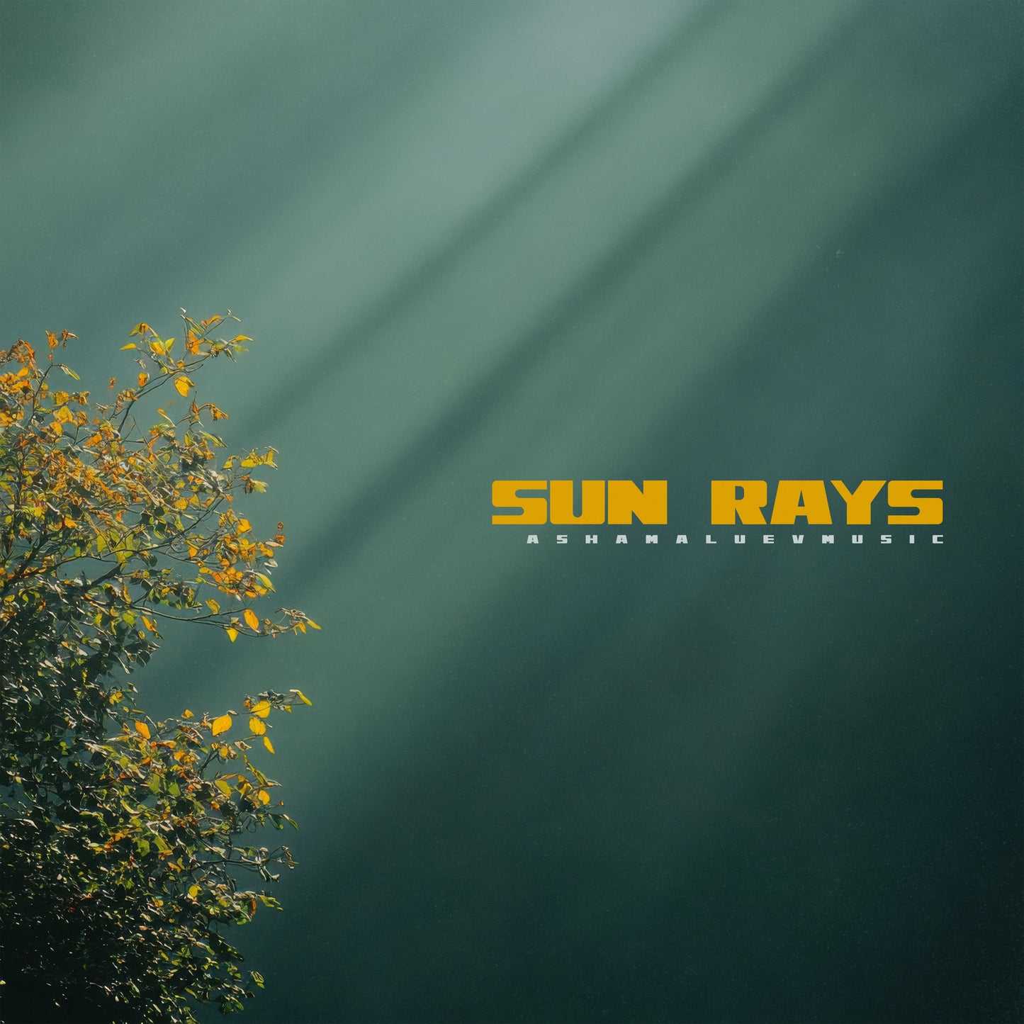 Sun Rays - Single