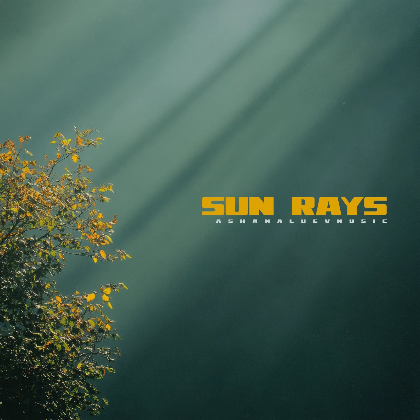 Cover track 'Sun Rays' by AShamaluevMusic. This background music is available for licensing and can be used in various creative projects.