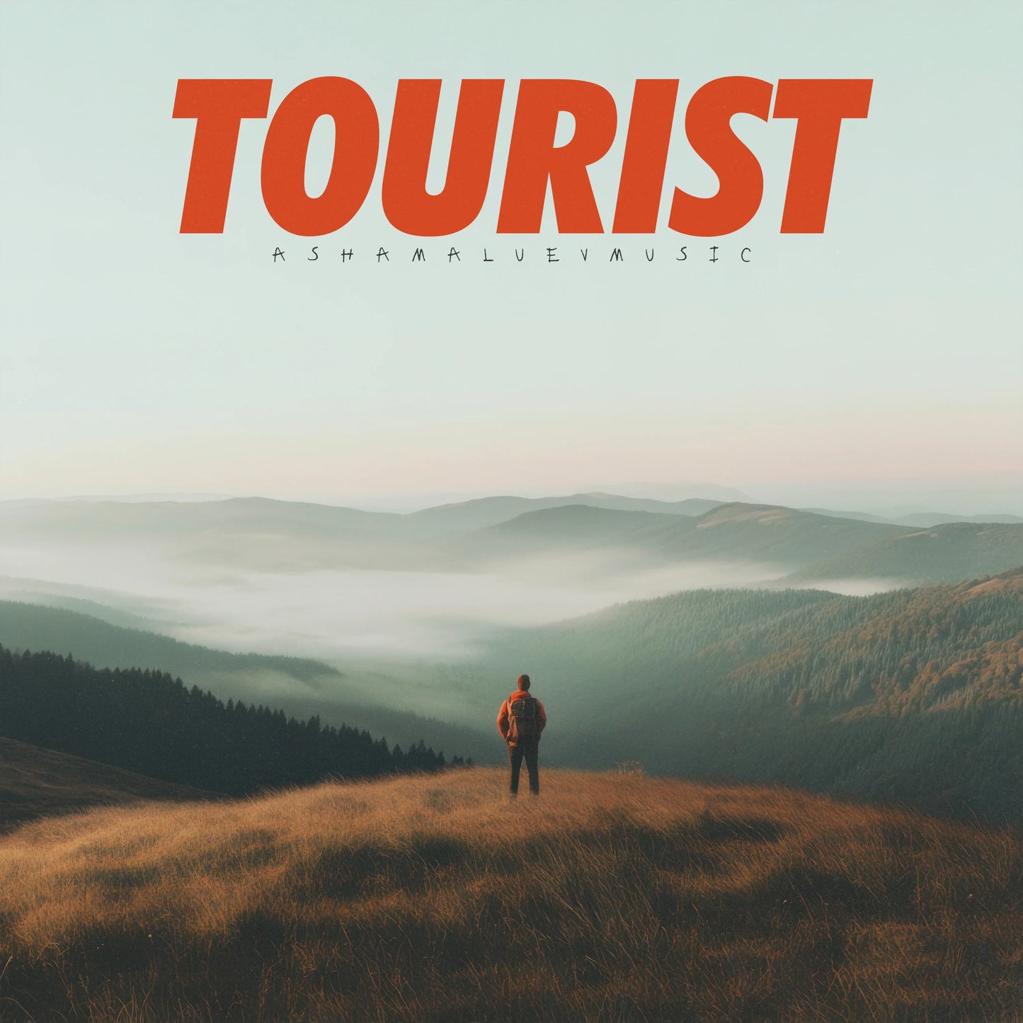 Cover track 'Tourist' by AShamaluevMusic. This background music is available for licensing and can be used in various creative projects.