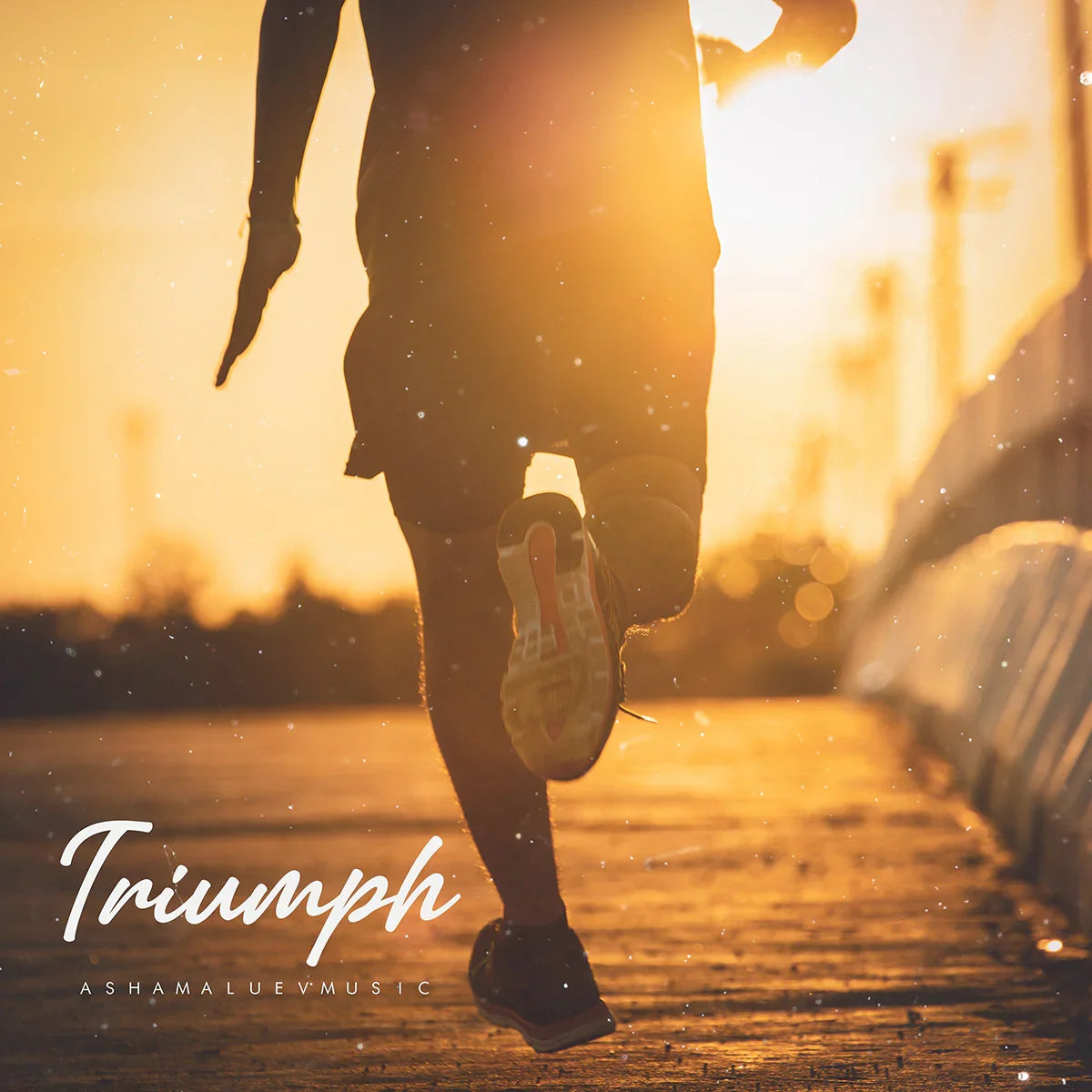 Cover track 'Triumph' by AShamaluevMusic. This background music is available for licensing and can be used in various creative projects.