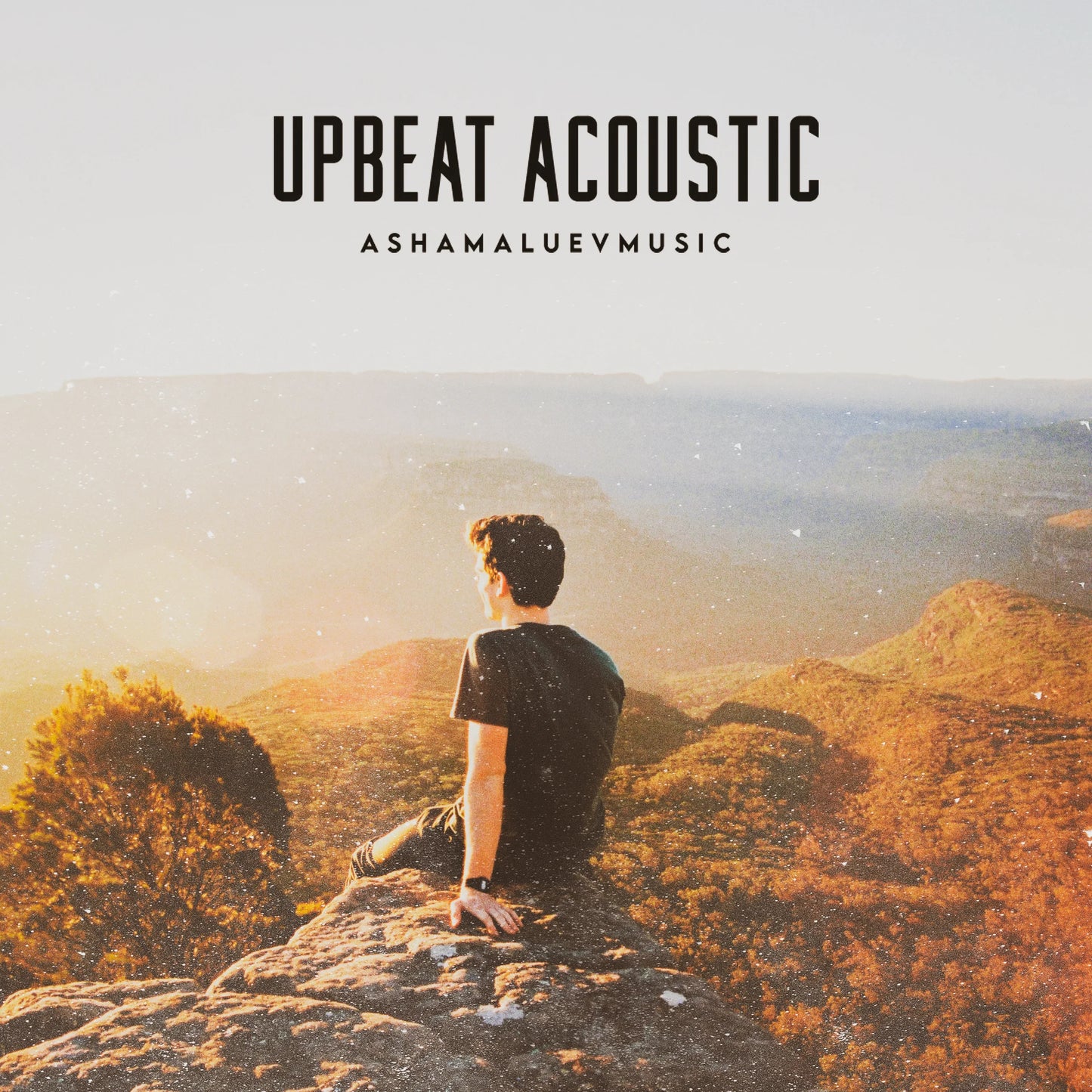 Cover track 'Upbeat Acoustic' by AShamaluevMusic. This background music is available for licensing and can be used in various creative projects.