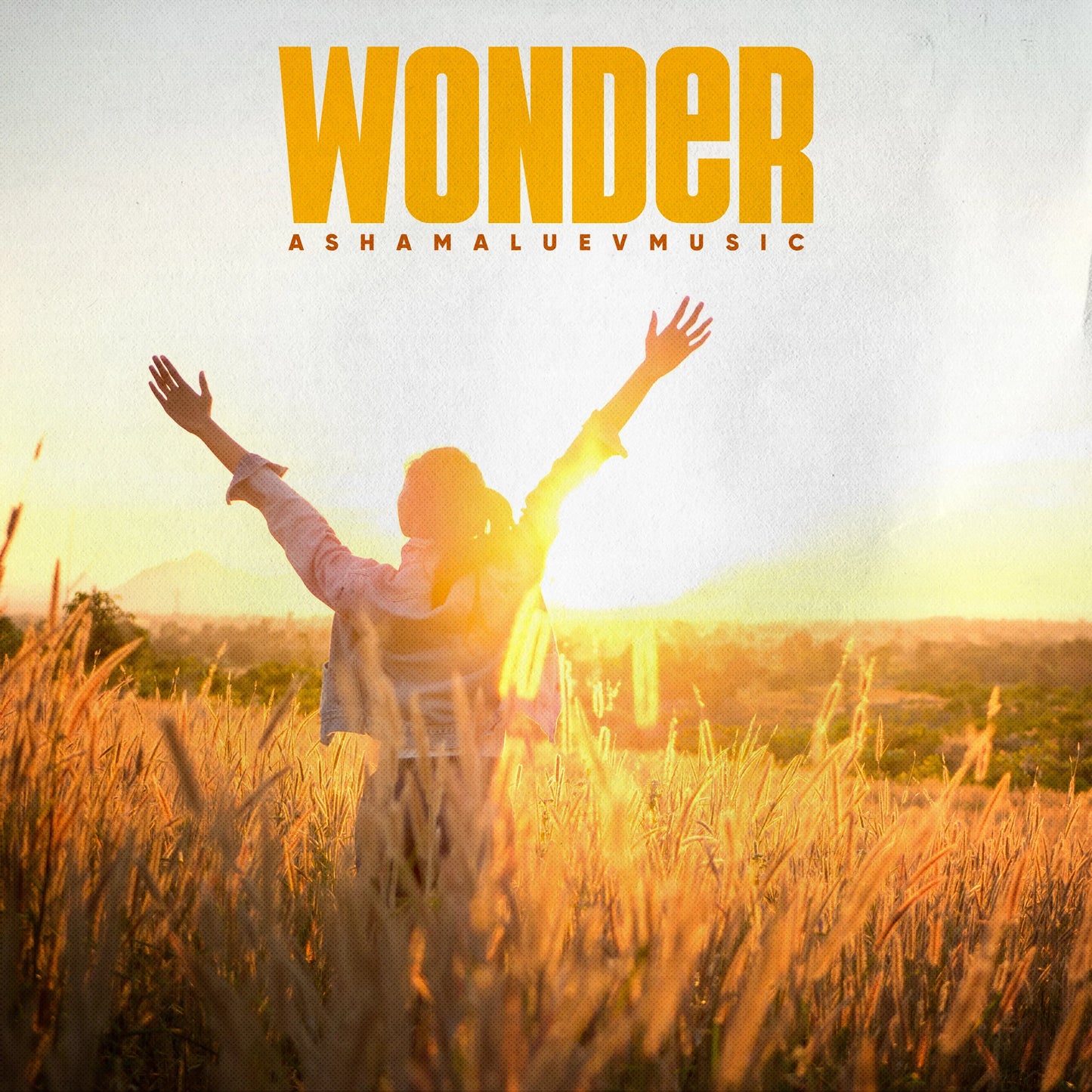 Cover track 'Wonder' by AShamaluevMusic. This background music is available for licensing and can be used in various creative projects.