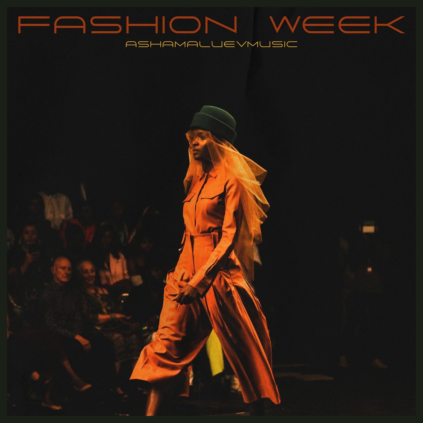 Cover track 'Fashion Week' by AShamaluevMusic. This background music is available for licensing and can be used in various creative projects.