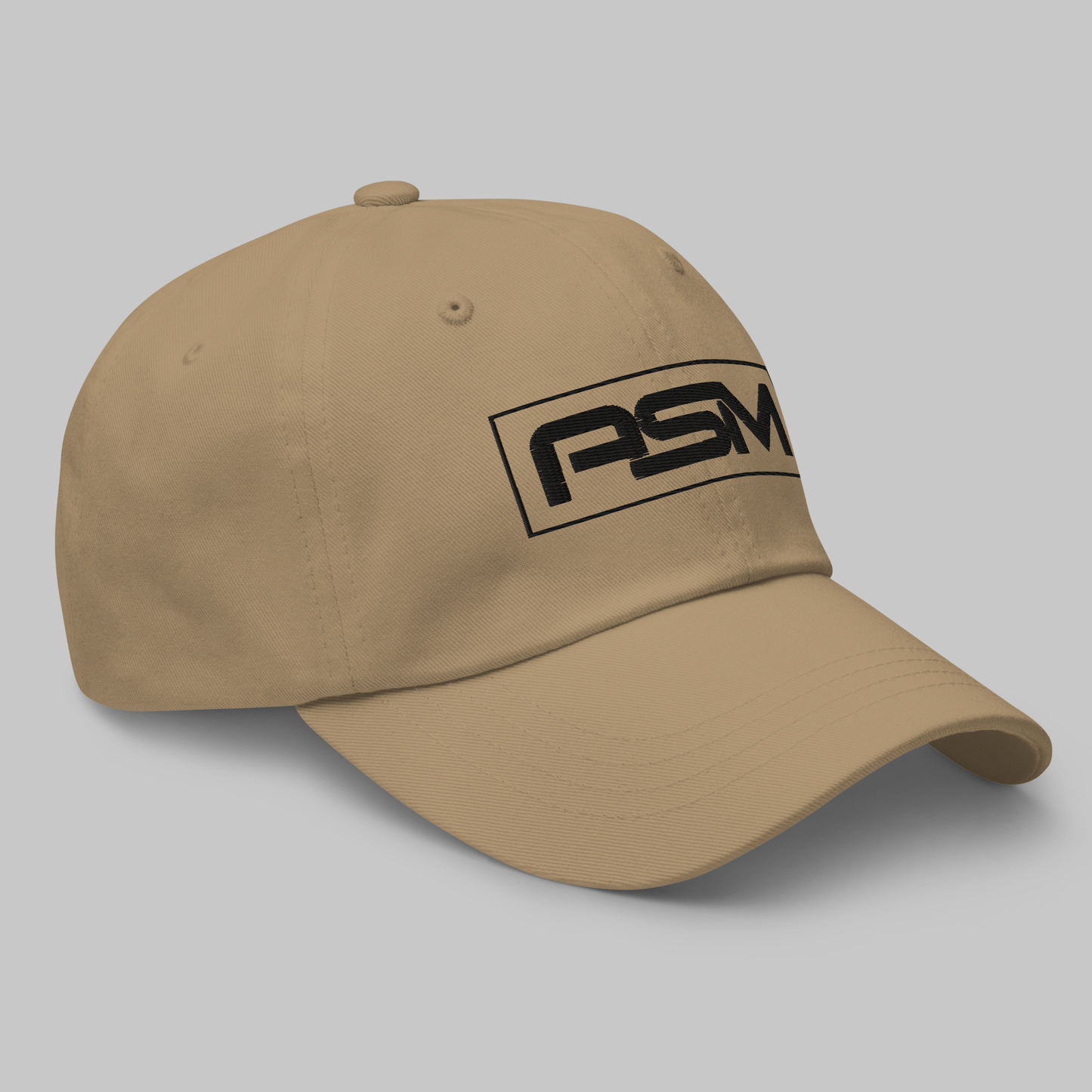 ASM Logo Hat
