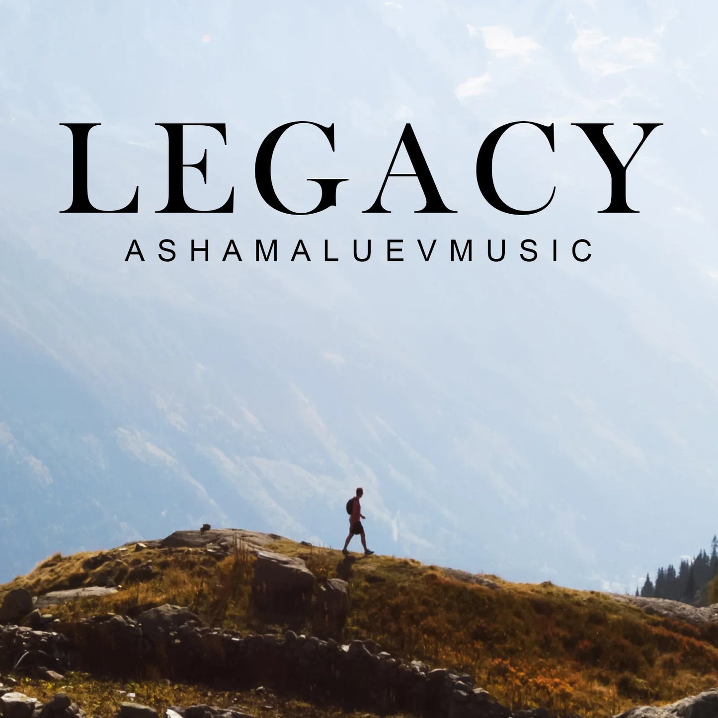 Cover track 'Legacy' by AShamaluevMusic. This background music is available for licensing and can be used in various creative projects.