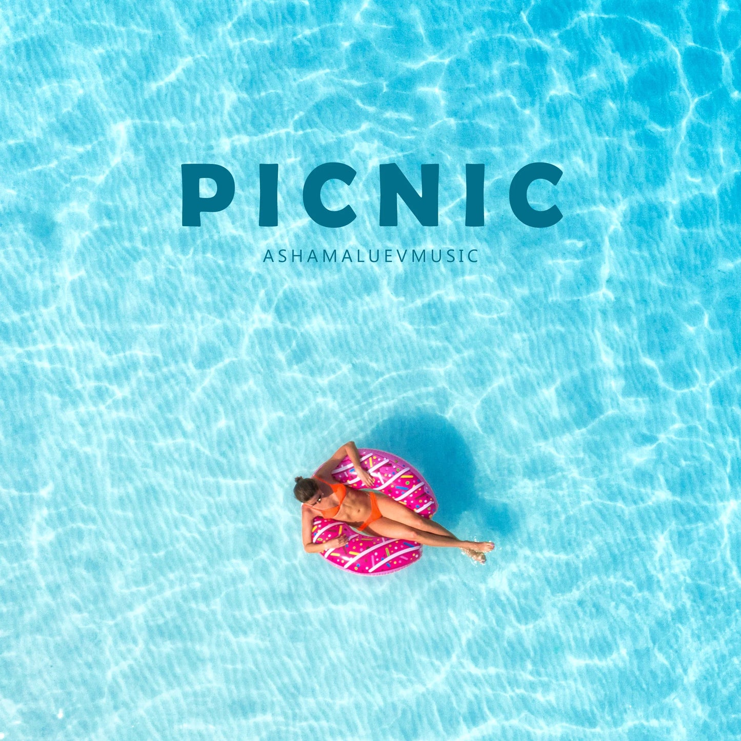 Cover track 'Picnic' by AShamaluevMusic. This background music is available for licensing and can be used in various creative projects.