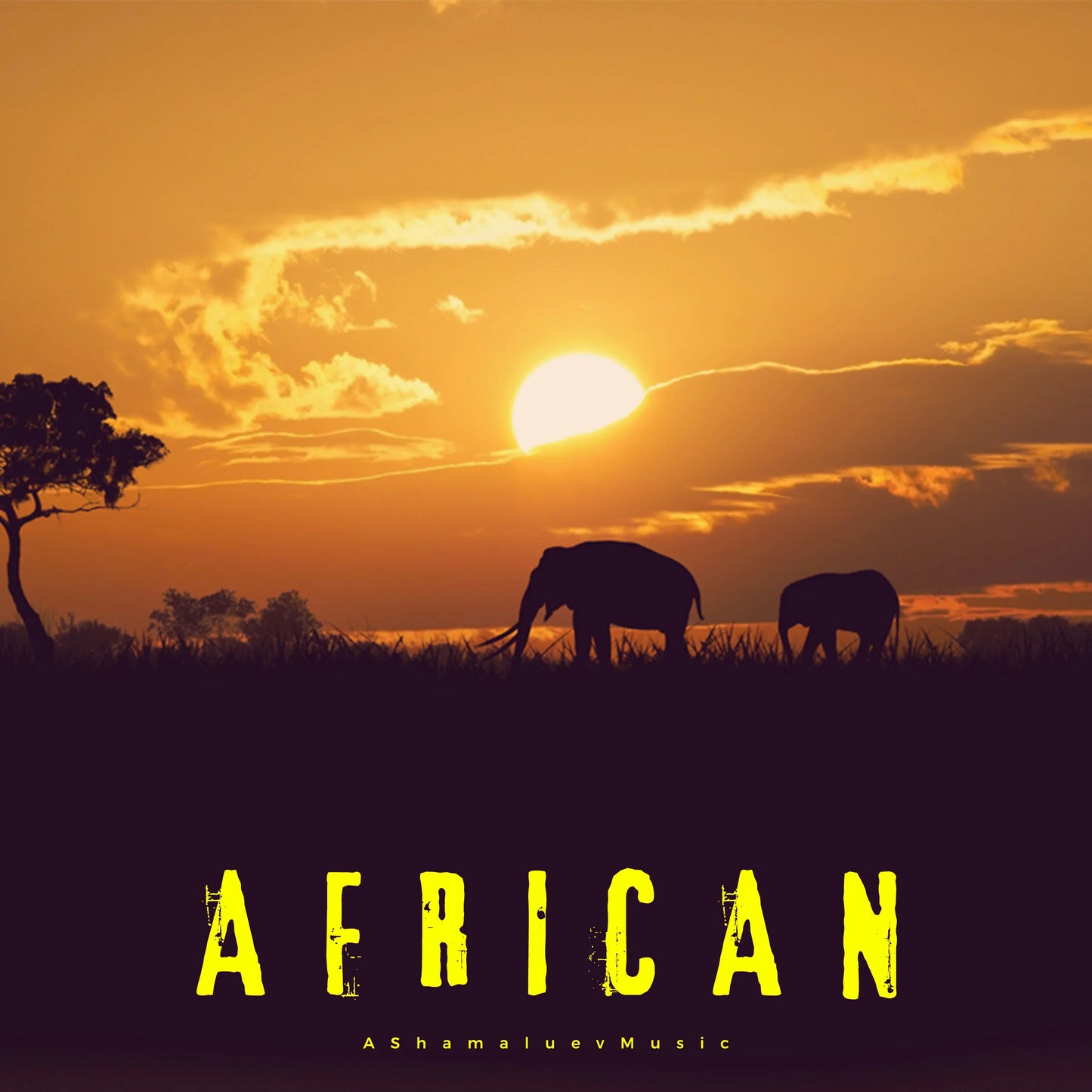Cover track 'African' by AShamaluevMusic. This background music is available for licensing and can be used in various creative projects.