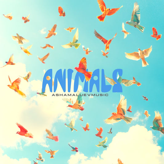 Animals - Single