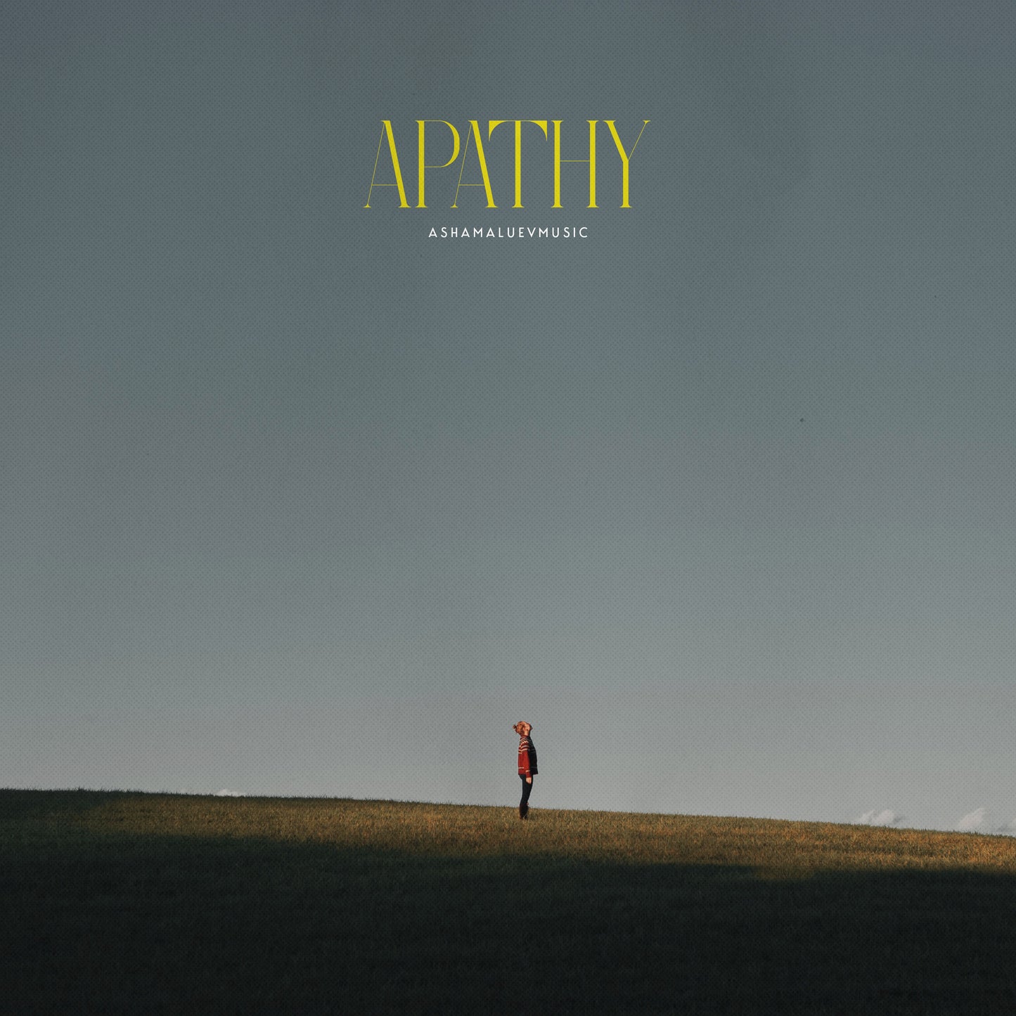 Cover art of the music track 'Apathy' by AShamaluevMusic, which shows the person standing on a hill.