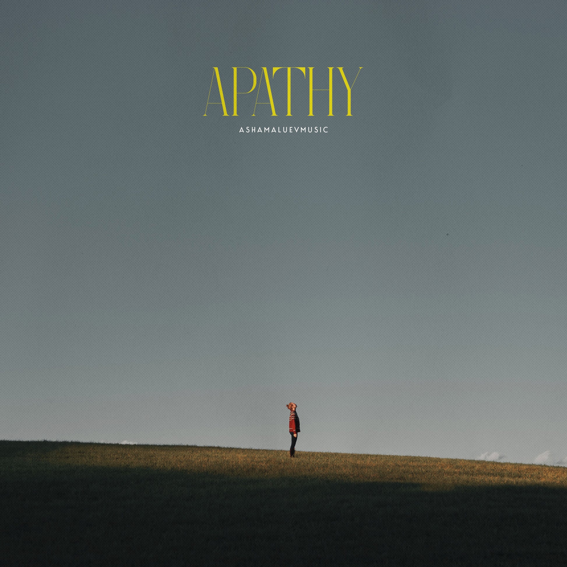 Cover art of the music track 'Apathy' by AShamaluevMusic, which shows the person standing on a hill.