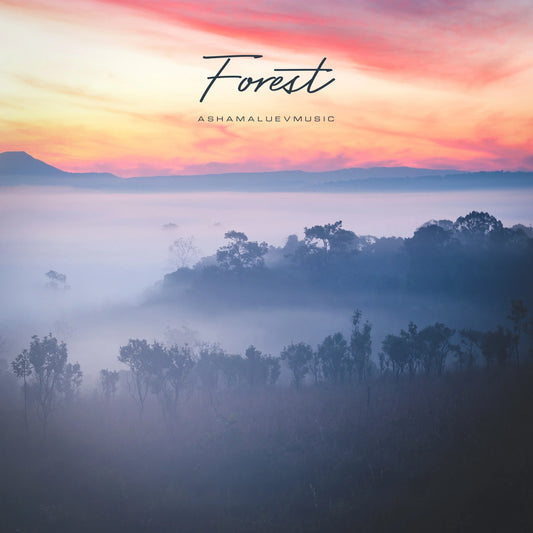 Cover track 'Forest' by AShamaluevMusic. This background music is available for licensing and can be used in various creative projects.