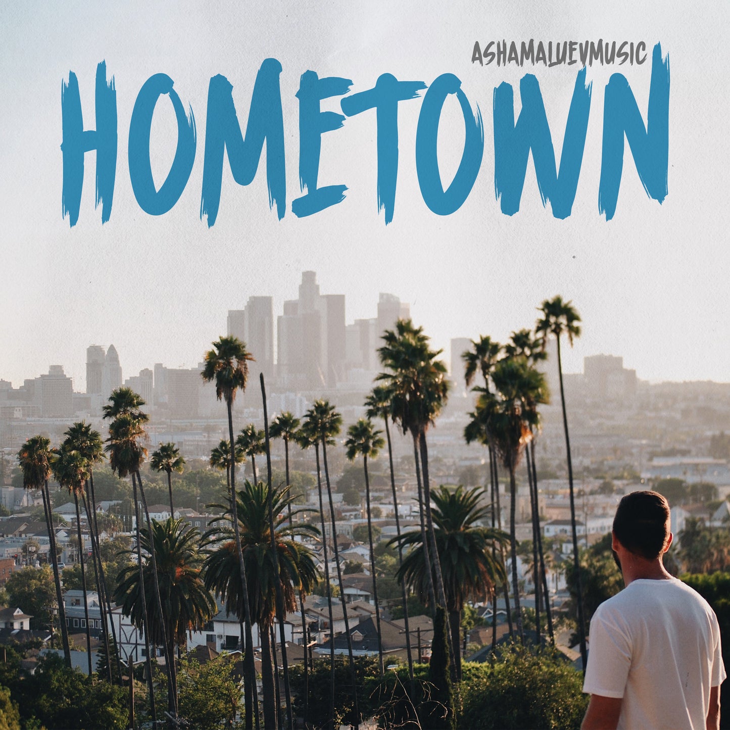 Cover art of the music track 'Hometown' by AShamaluevMusic, which shows the palm trees, and city skyline.