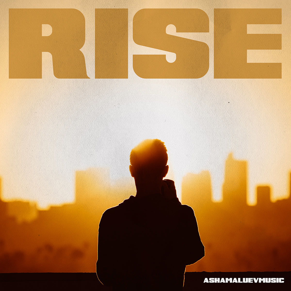 Cover art of the music track 'Rise' by AShamaluevMusic, which shows the silhouette of a person facing a cityscape.